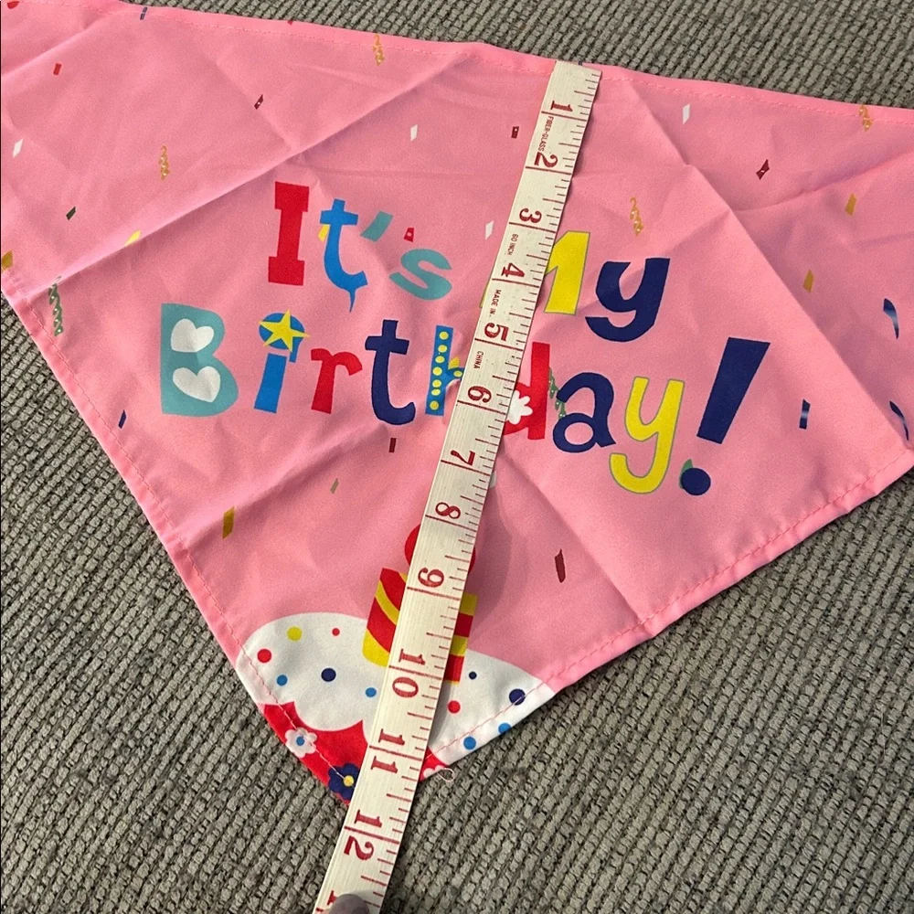 Pink Dog Birthday Bandana and Party Hat Set NEW celebrate